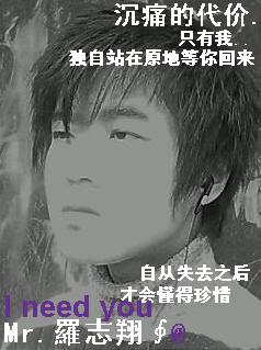 沉痛的代价